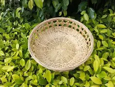 爱游戏娱乐平台 -|s兽庂*b堲'筐??(兽啥意思)