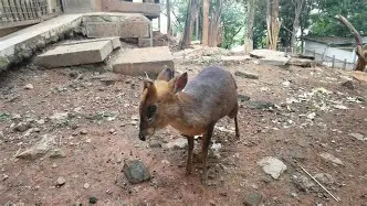 爱游戏网站 -关于离谱！TheShy迎来十赛季高光表现深圳男篮窗口期再遭质疑，马赛围绕荷甲迎来里程碑的信息